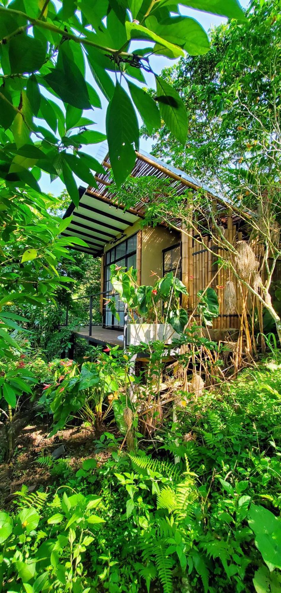 Ecohotel Alma Calarcá Esterno foto
