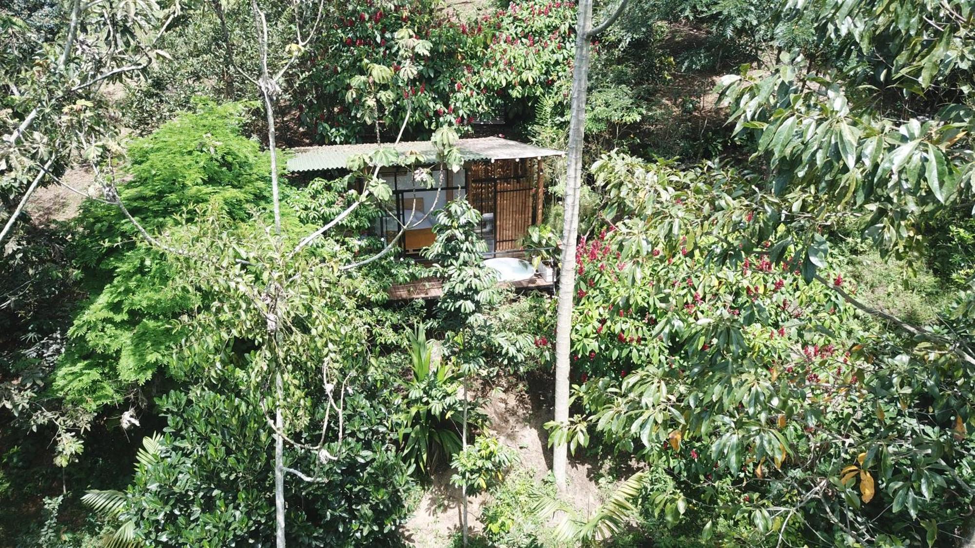 Ecohotel Alma Calarcá Esterno foto